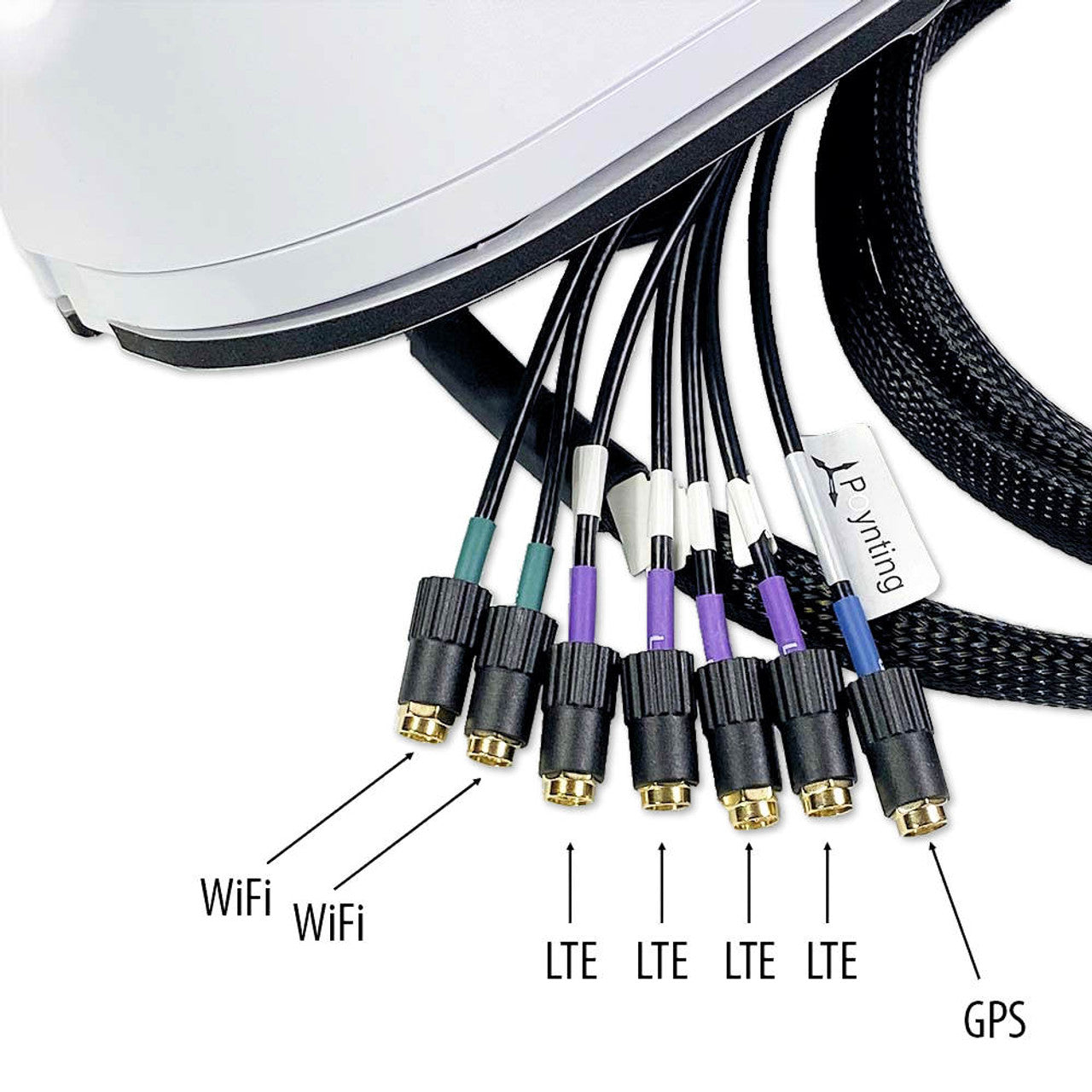 Camperinternet bundel  Teltonika RUTX50 met Poynting Mimo-3-V2-17